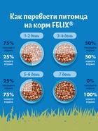 Влажный корм Felix Природа вкуса для кошек, говядина, 75 г - Фото 10