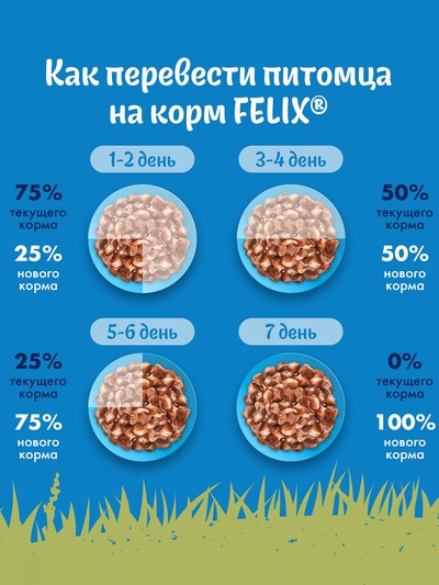 Влажный корм Felix Природа вкуса для кошек, говядина, 75 г