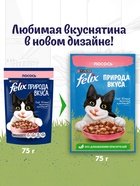 Влажный корм Felix Природа вкуса для кошек, лосось, 75 г - Фото 4
