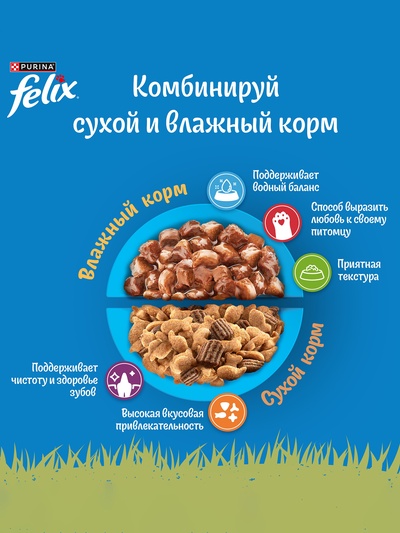Влажный корм Felix Природа вкуса для кошек, лосось, 75 г