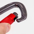 Карабин с байонетной муфтой «Мастер К», 10×6 см, 22 KN, МИКС - Фото 5