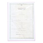 Папка для свидетельства о рождении «Анна», А5 - фото 21856510