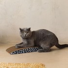 Когтеточка из картона с кошачьей мятой «Мышки», 45 см х 19,5 см х 4,5 см - фото 9056273