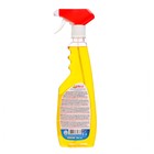 Средство для мытья стёкол, БАРХАТ ISKRA, «Цитрусовый микс», с курком, 500 мл - Фото 2