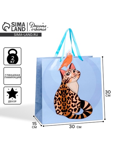Пакет подарочный, упаковка, «Кот», 30×30×15 см