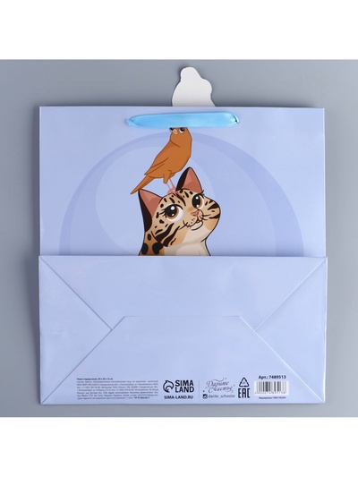 Пакет подарочный, упаковка, «Кот», 30×30×15 см
