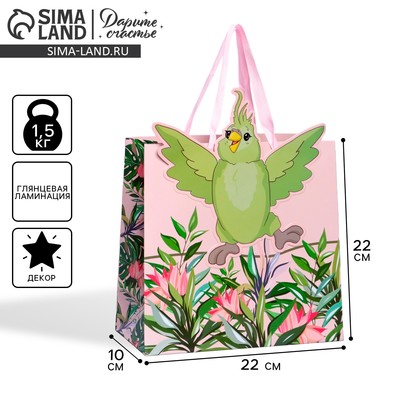 Пакет подарочный, упаковка, «Попугай», 22 х 22 х 10 см