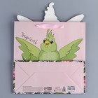 Пакет подарочный, упаковка, «Попугай», 22 х 22 х 10 см 7489514 - фото 16184637