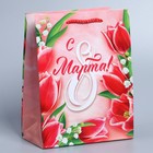 Пакет подарочный ламинированный горизонтальный, упаковка, «Краски весны», MS 18 х 23 х 8 см - Фото 1