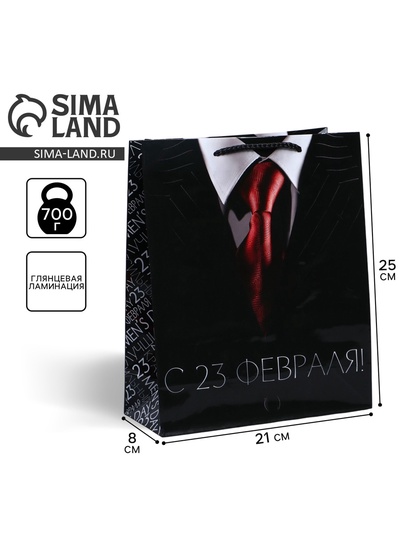 Пакет подарочный ламинированный, упаковка, «С 23 февраля», ML 21×25×8 см