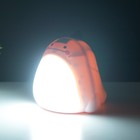 Настольная лампа Динозаврик LED 3Вт USB AKB МИКС 10х11,5х11,5 см RISALUX - Фото 4