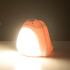 Настольная лампа Динозаврик LED 3Вт USB AKB МИКС 10х11,5х11,5 см RISALUX - Фото 6