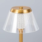 Настольная лампа "Вилора" LED USB АКБ золото 15х15х30 см RISALUX - Фото 6