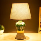 Настольная лампа "Арнелла" Е14 40Вт серо-зеленый 22х22х40 см RISALUX - фото 21857071