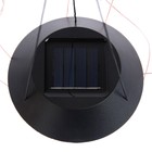 Садовый светильник на солнечной батарее «Стрекозы», 12.5 × 86 × 12.5 см, 6 LED, свечение мульти - Фото 4