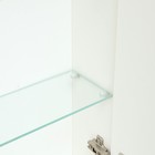 Зеркало-шкаф для ванной комнаты "Виктория 45", 45 х 68,5 х 14,5 см - Фото 4