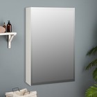 Зеркало-шкаф для ванной комнаты "Виктория 50", 50 х 68,5 х 14,5 см - фото 10048855