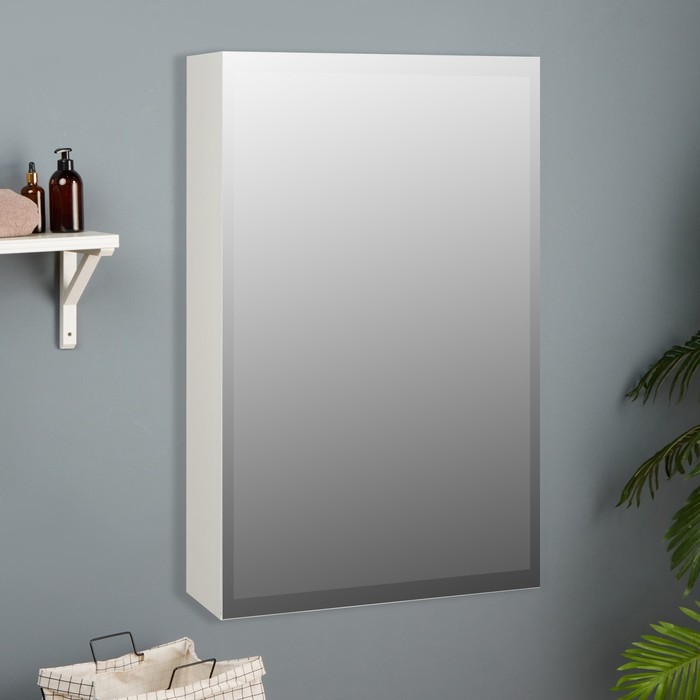 Зеркало-шкаф для ванной комнаты "Виктория 50", 50 х 68,5 х 14,5 см - Фото 1