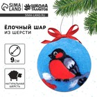 Ёлочный шар из шерсти на новый год «Снегирь на ветке», новогодний набор для творчества - Фото 1