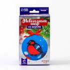 Ёлочный шар из шерсти на новый год «Снегирь на ветке», новогодний набор для творчества - Фото 3