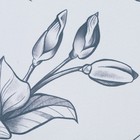 Штора "Этель" Magnolia. 145*260 см, 100% п/э, блэкаут - фото 3882583