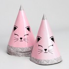 Набор бумажной посуды "Кошечка", 6 тарелок, 6 стаканов, 6 колпаков, гирлянда - фото 24693347