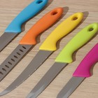 Набор кухонных ножей на подставке, 5 шт, лезвие 8,5 см, 11 см, 11,5 см, 12,5 см, цвет МИКС - Фото 2