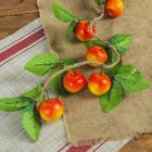 Муляж «Связка яблок», 50 см, МИКС - Фото 1