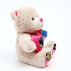 Мягкая игрушка «Мишутка», 25 см, с пайетками, цвета МИКС - Фото 5