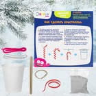 Набор для выращивания кристаллов «Леденец» Уценка - Фото 2