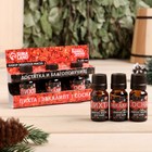 Набор эфирных масел «Достатка и благополучия!», в подарочной коробке, пихта, эвкалипт, сосна, 3 шт. по 10 мл - Фото 1