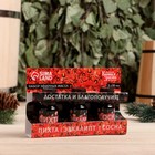 Набор эфирных масел «Достатка и благополучия!», в подарочной коробке, пихта, эвкалипт, сосна, 3 шт. по 10 мл - Фото 3