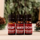 Набор эфирных масел 10 мл «С легким паром» кедр, мята, сосна - Фото 2