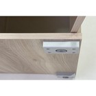 Шкаф двухдверный «Лайк 08.01», 620 × 420 × 2100 мм, цвет дуб мария / фуксия - Фото 4