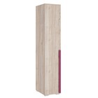 Шкаф однодверный «Лайк 01.01», 400 × 550 × 2100 мм, цвет дуб мария / фуксия - фото 294382556