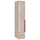 Шкаф однодверный «Лайк 54.01», 400 × 550 × 2100 мм, цвет дуб мария / фуксия - фото 109909034