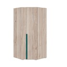 Шкаф угловой «Лайк 06.01», 980 × 980 × 2100 мм, цвет дуб мария / изумруд - фото 294382766