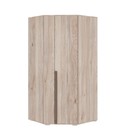 Шкаф угловой «Лайк 06.01», 980 × 980 × 2100 мм, цвет дуб мария / какао - Фото 1