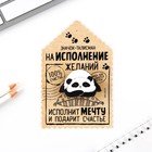 Значок «Талисман на исполнение желаний», 4×3 см - Фото 2