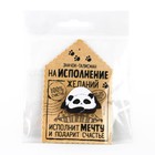 Значок «Талисман на исполнение желаний», 4×3 см - Фото 7