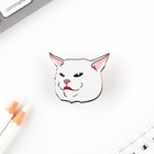 Значок «Это тот самый кот!», 3 х 2,6 см - Фото 3