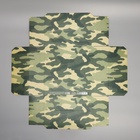 Коробка подарочная складная, упаковка, «Хаки», 26?26?8 см (комплект 2 шт) - фото 47518303