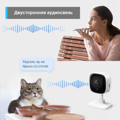 Камера видеонаблюдения IP TP-Link Tapo C110 3.3-3.3 мм, цветная