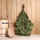 Веник для бани берёзовый, «Добропаровъ» - Фото 1