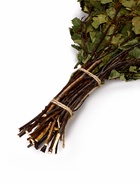 Веник для бани берёзовый, «Добропаровъ» - Фото 4