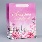 Пакет подарочный ламинированный вертикальный, упаковка, «Любимой маме», MS 18 х 23 х 10 см - Фото 2