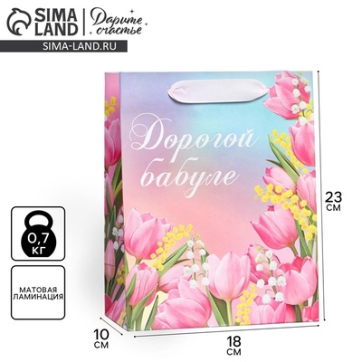 Пакет подарочный ламинированный, упаковка, «Дорогой бабуле», MS 18×23×10 см