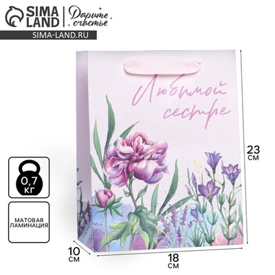 Пакет подарочный ламинированный, упаковка, «Любимой сестре», MS 18×23×10 см