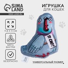 Игрушка для кошек с мятой «Голубь»,11,8 х 9,3 см - Фото 1