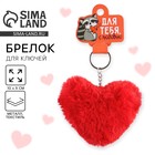 Брелок для ключей пушистик «Для тебя», 9×10 см - Фото 1